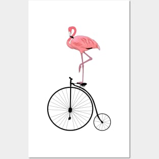 Funny Flamingo on Old Fashioned Penny Farthing Bicycle Posters and Art